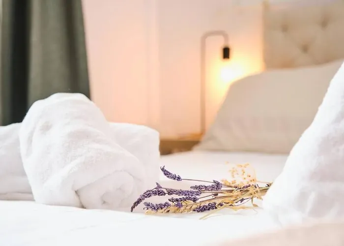 Rincón De Anayet Entrada Autónoma * Formigal